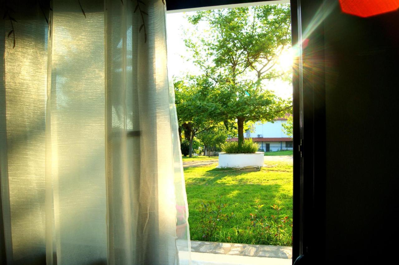 Simplicity At Iris Accommodation 사코우디아 외부 사진