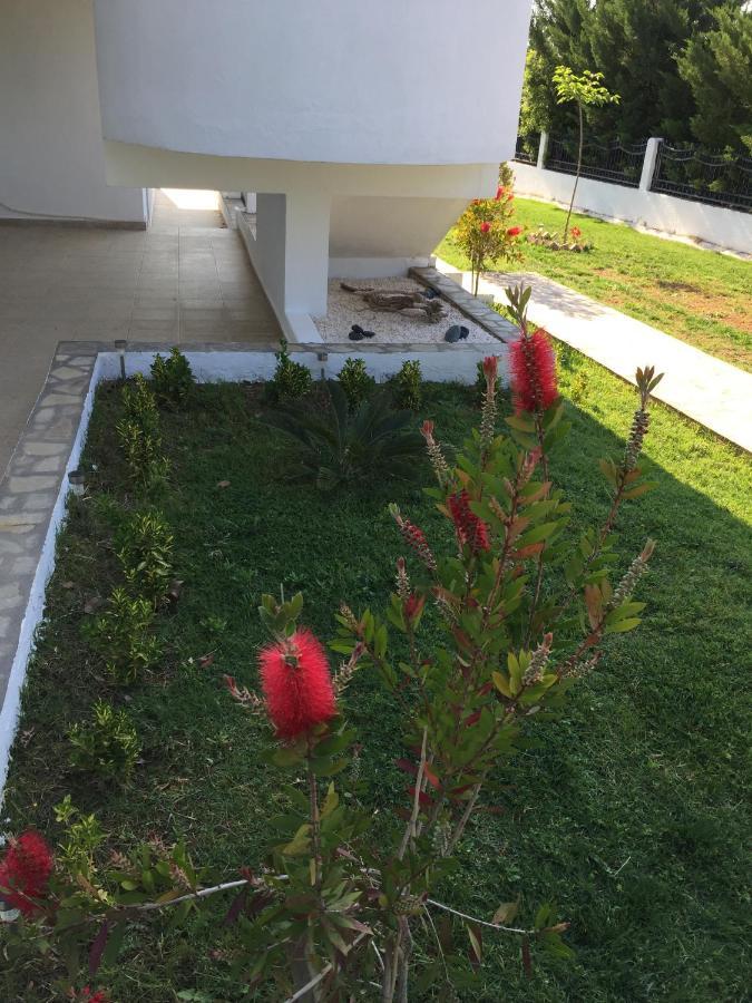 Simplicity At Iris Accommodation 사코우디아 외부 사진